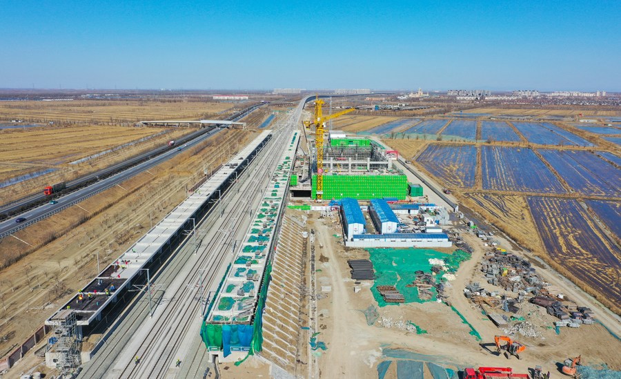 Coordinated development energizes Chinese port city