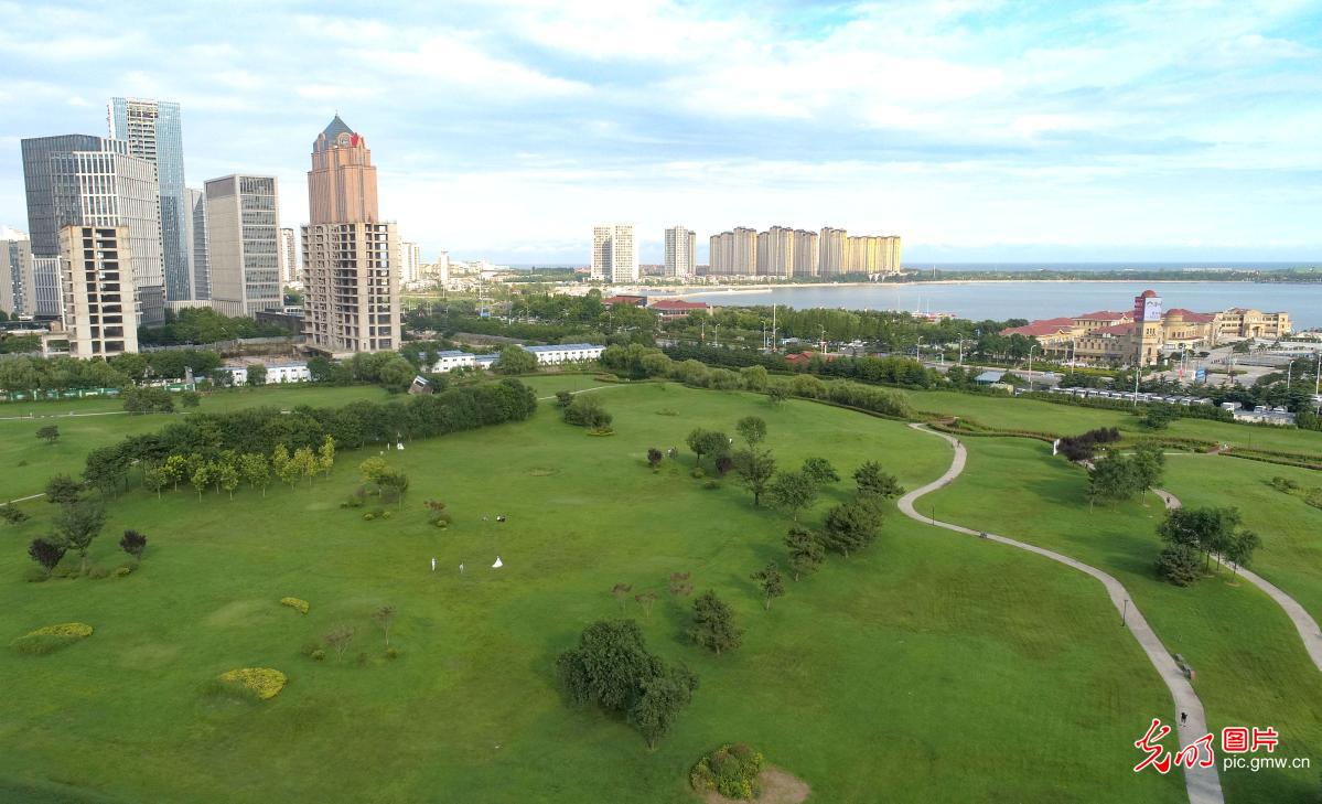 Qingdao City of N China’s Shandong: greenness decorates the city