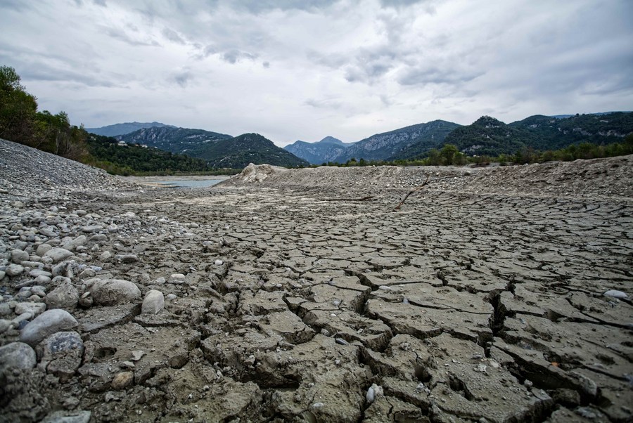 Feature: Drought-hit Europe sees impacts on people's livelihoods