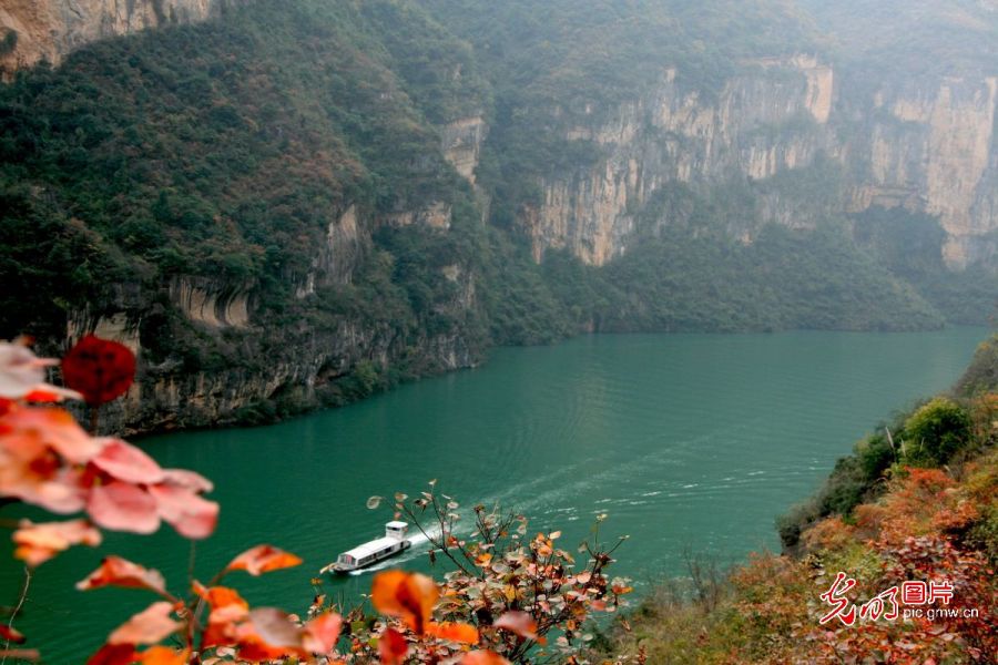 Pic story: planting trees on steep cliffs helps to restore ecological scenery of Daning River Basin in SW China's Chongqing