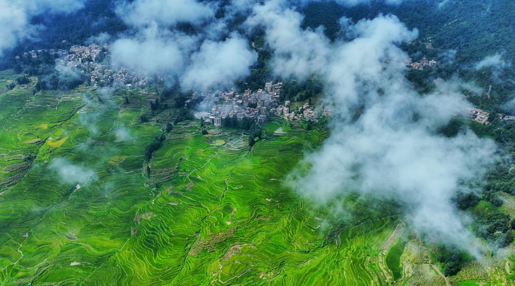 Yunnan rice fields evoke pastoral beauty