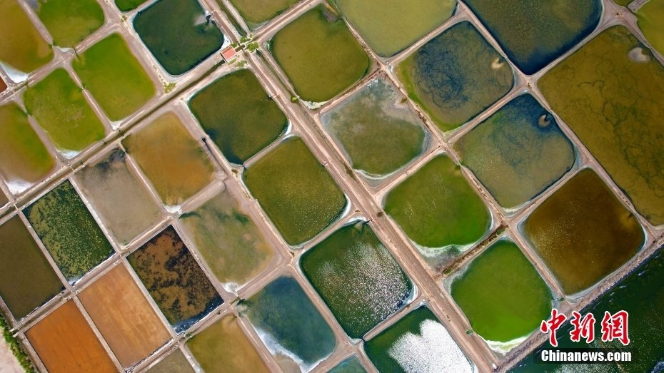 Salt pans seen like color palette in E China’s Shandong Province