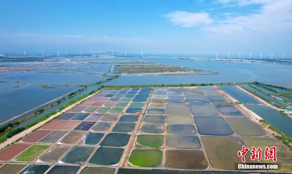 Salt pans seen like color palette in E China’s Shandong Province