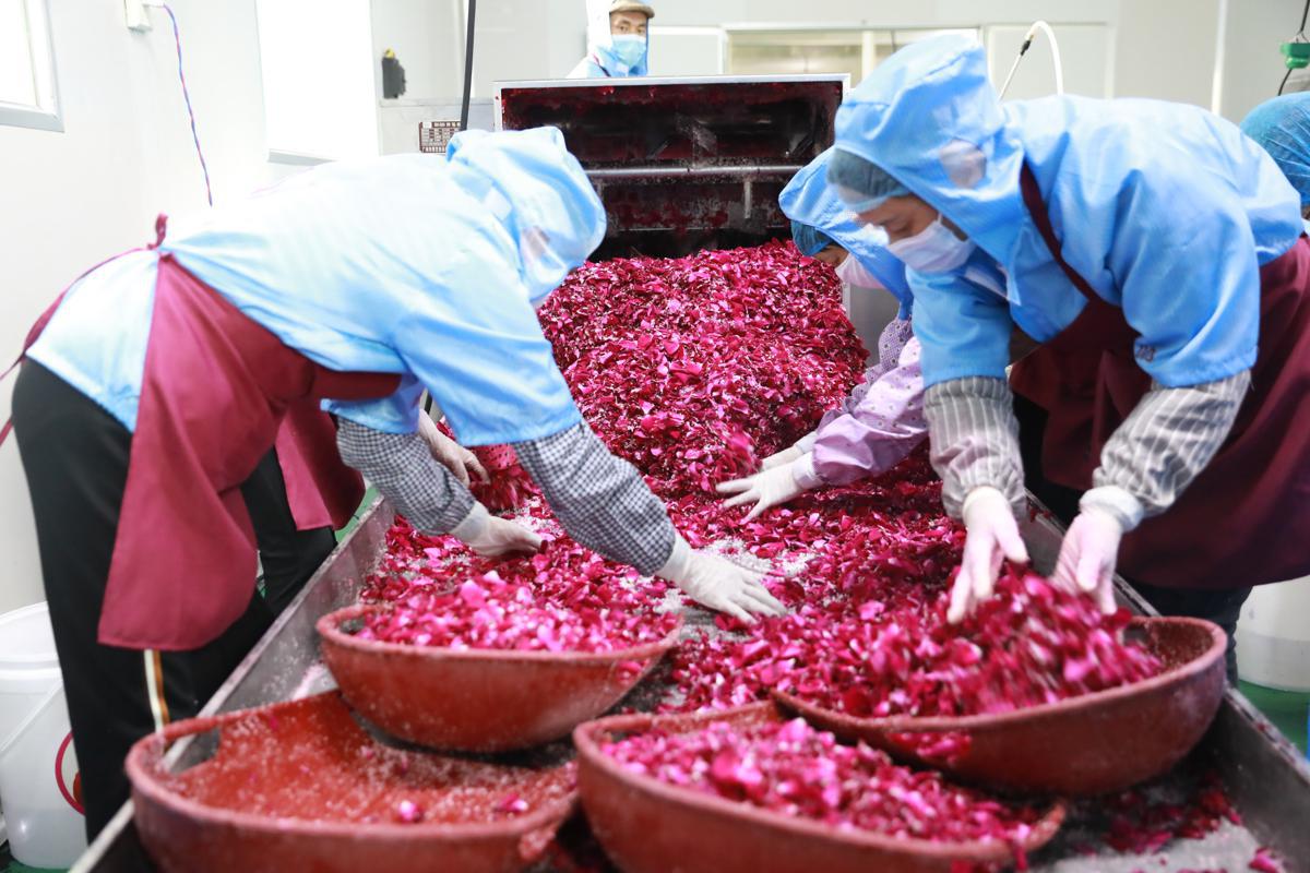 Yunnan succeeds in eliminating poverty