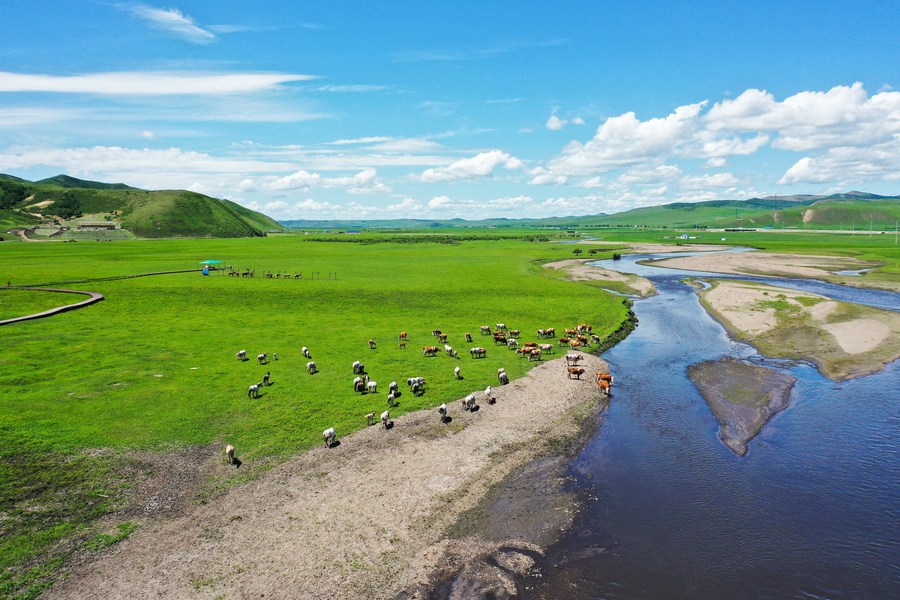 Xinhua Headlines: Inner Mongolia flourishing amid integrated ecological efforts