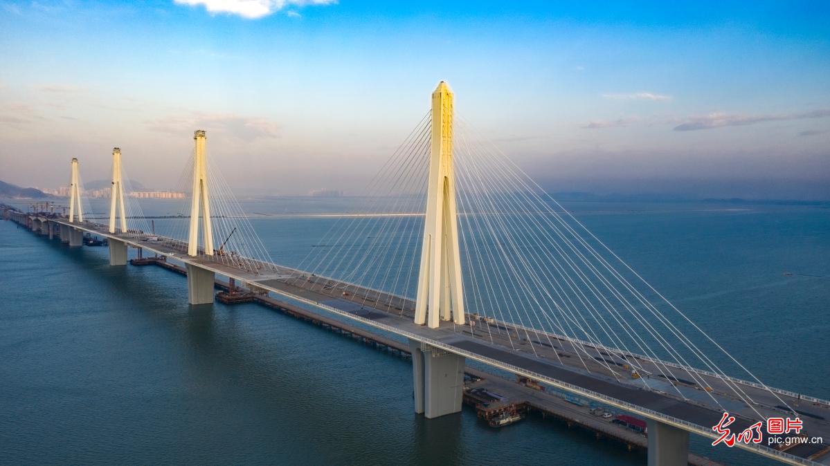 In pics: China's first rail-cum-road multi-pylon cable-stayed bridge in E China's Guangdong