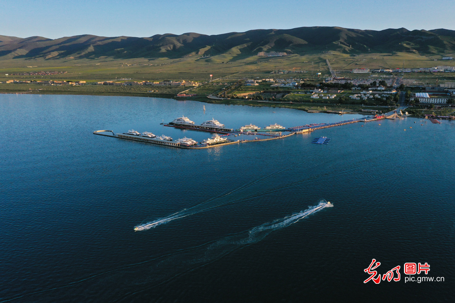 Pic Story: Qinghai Lake witnessing ecological improvement in NW China's Qinghai