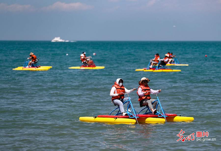 Pic Story: Qinghai Lake witnessing ecological improvement in NW China's Qinghai