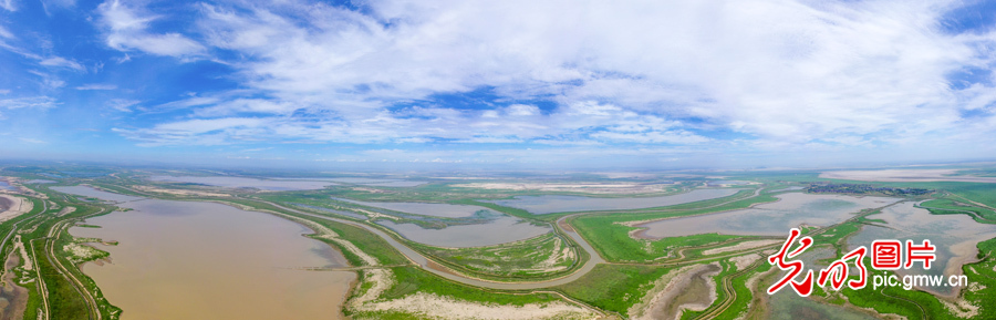 Pic Story: Nanjishan Wetland Nature Reserve protecting diversity of wetland species