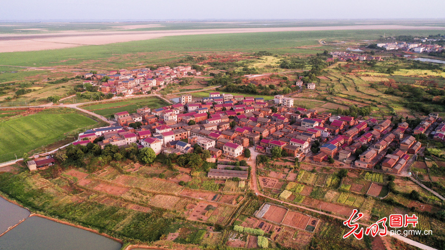 Pic Story: Nanjishan Wetland Nature Reserve protecting diversity of wetland species