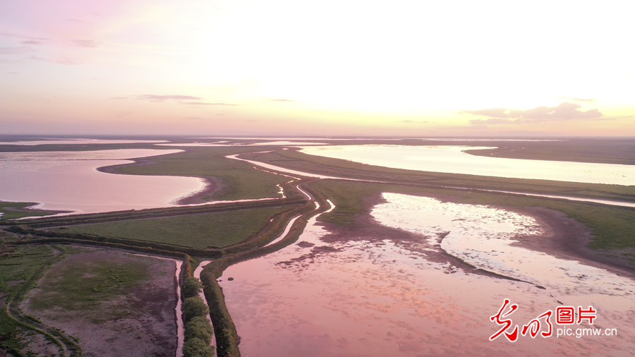 Pic Story: Nanjishan Wetland Nature Reserve protecting diversity of wetland species