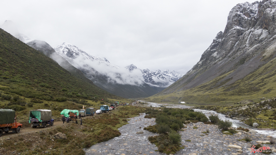 Pic Story: yaks transiting to autumn pasture in SW China's Tibet