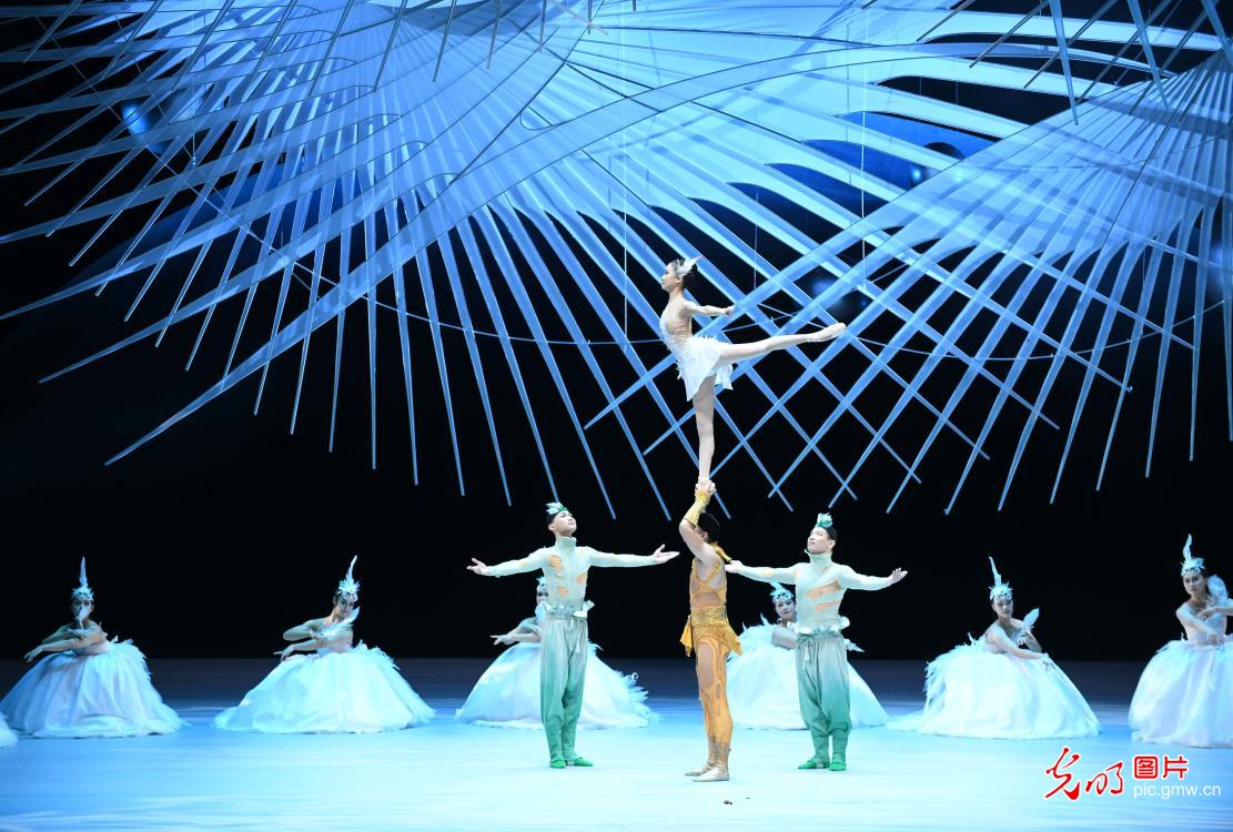 Acrobatics show Swan makes debut in SE China's Guangzhou