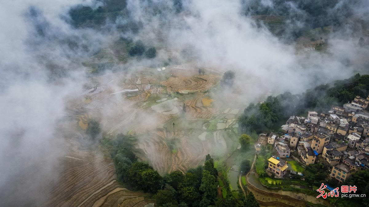 Autumn scenery of terraced fields across China
