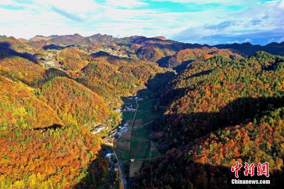 Amazing scenery of forest park in SW China’s Sichuan Province