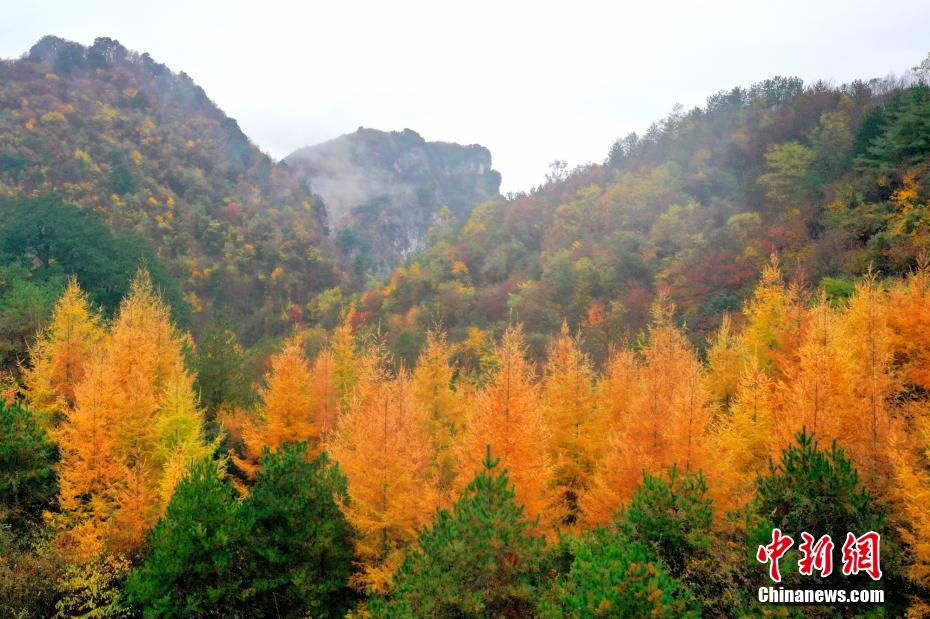 Amazing scenery of forest park in SW China’s Sichuan Province