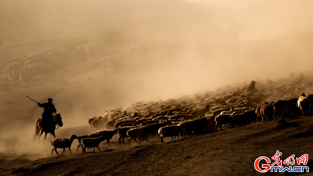 What is Xinjiang really like?