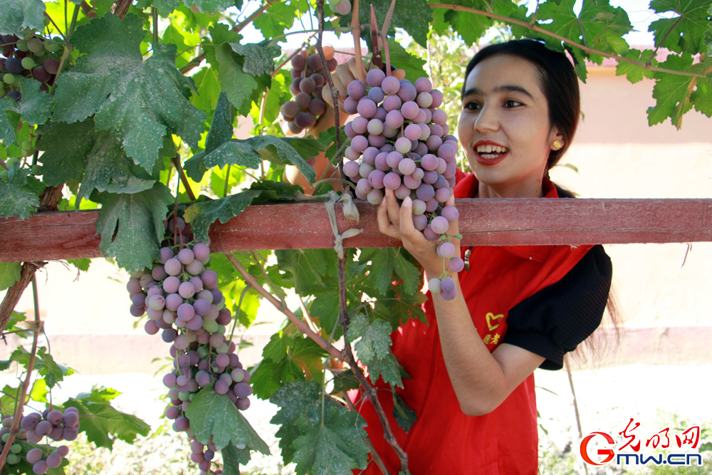 What is Xinjiang really like?