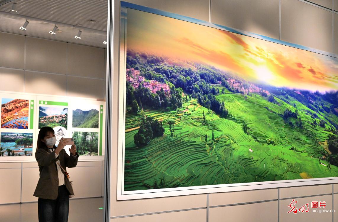 Hani Terrace Cultural Landscape Special Exhibition open in N China's Hebei