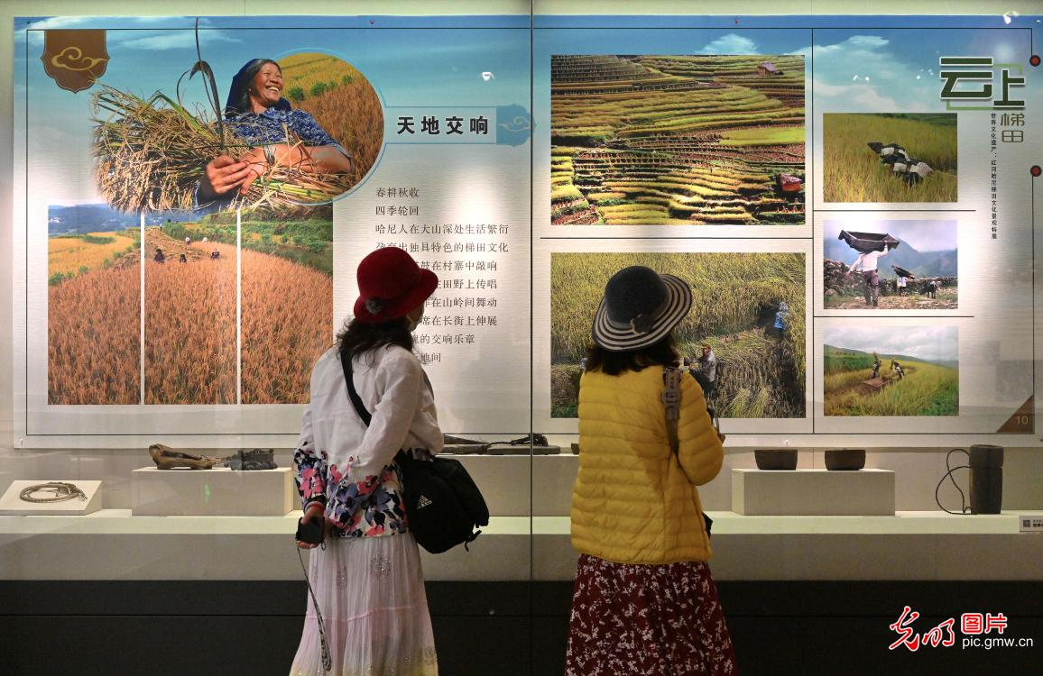 Hani Terrace Cultural Landscape Special Exhibition open in N China's Hebei