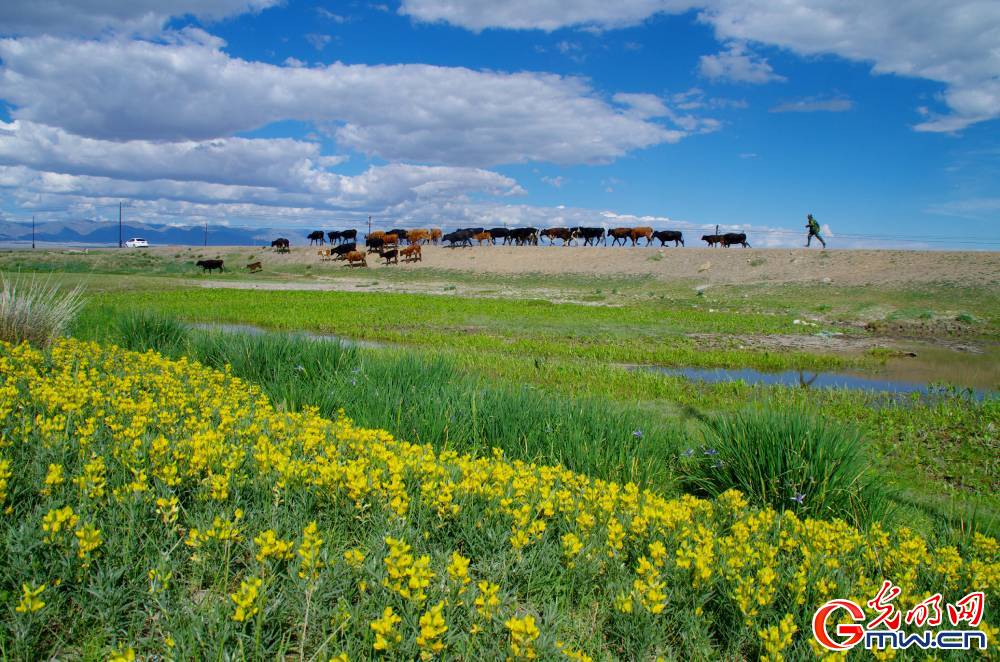 Xinjiang: What a fairyland!