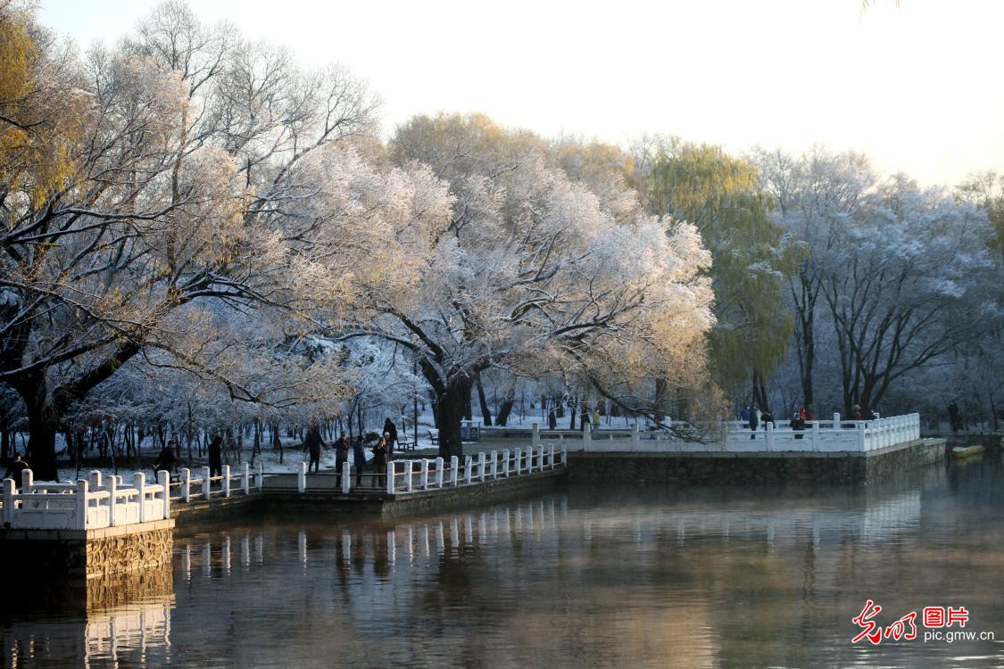NE China’s Shenyang City puts on “white coat” after snow
