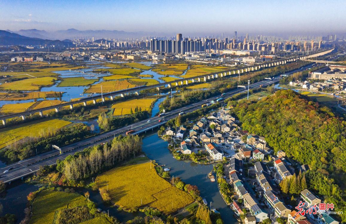 Picturesque wetland parks across China