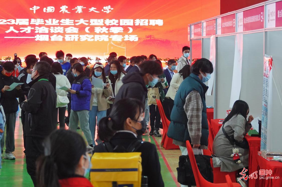 Job fair held in E China's Shandong
