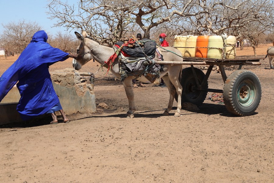 Feature: Chinese-sponsored solar-powered boreholes tackling water stress in Kenya's arid lands