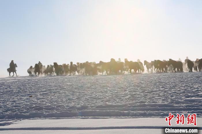 Running horses seen in NW China’s Xinjiang