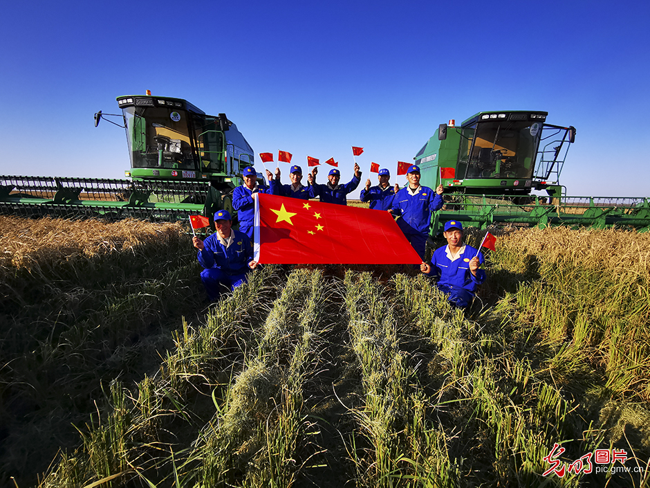 Pic Story: Agricultural modernization of NE China's Great Northern Wilderness over past decade