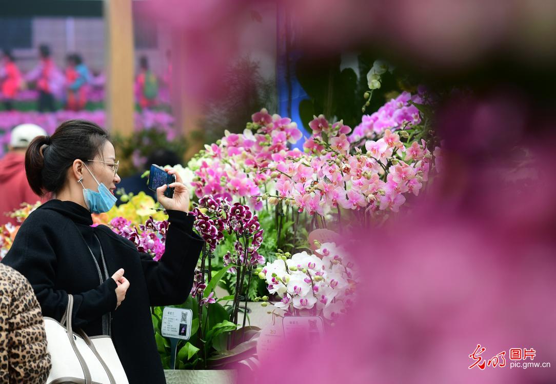 2022 China Hefei Seedling and Flower Trade Conference held in E China's Anhui
