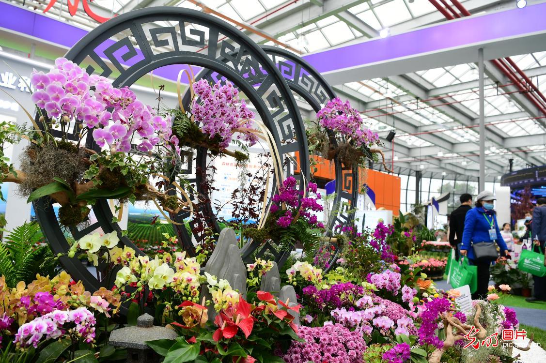2022 China Hefei Seedling and Flower Trade Conference held in E China's Anhui