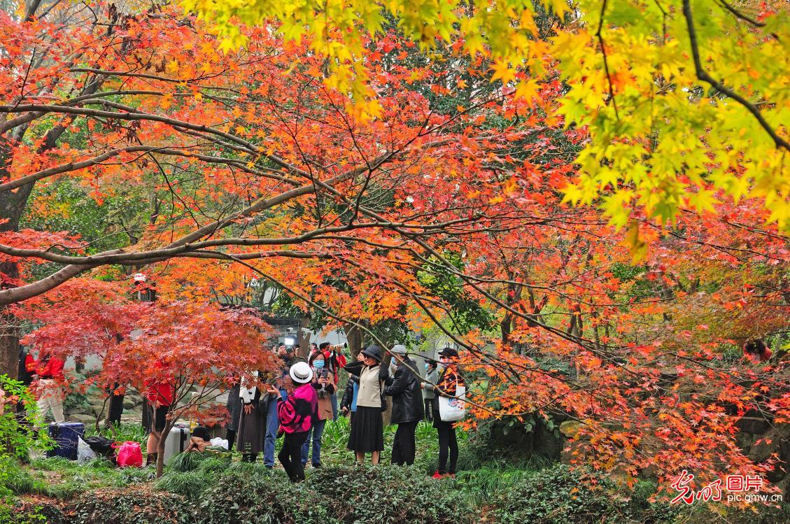 In Pics: Late autumn scenery of Qiuxia Garden in E China's Shanghai