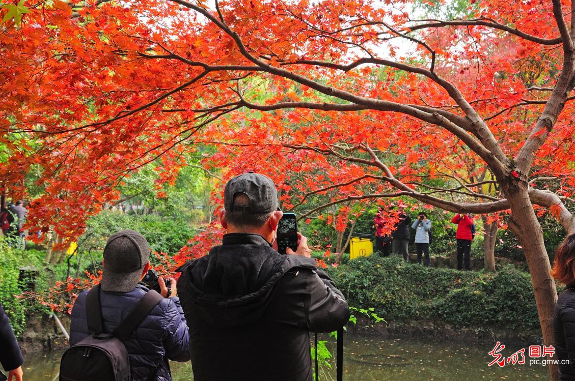 In Pics: Late autumn scenery of Qiuxia Garden in E China's Shanghai