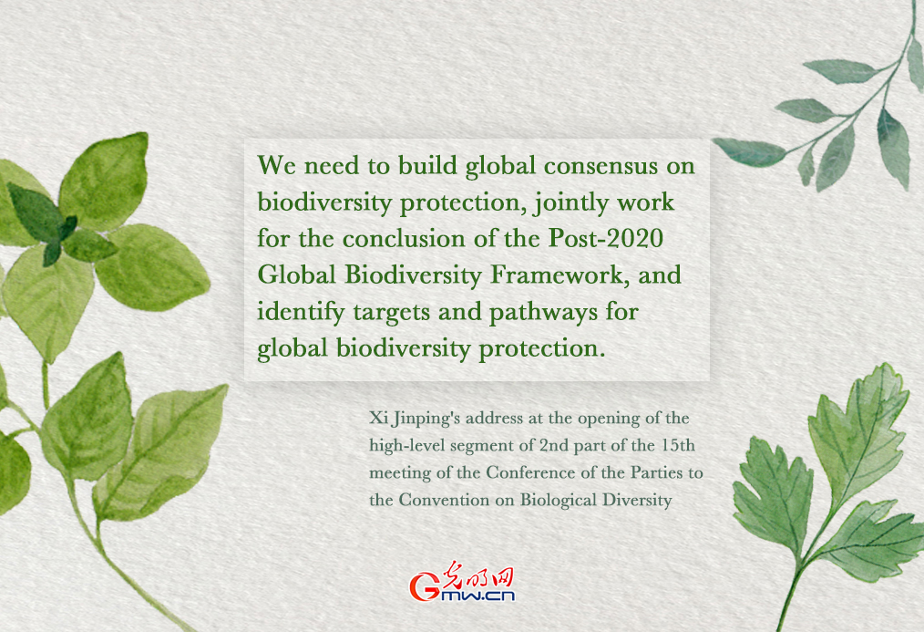 Highlight: Building global consensus on biodiversity protection