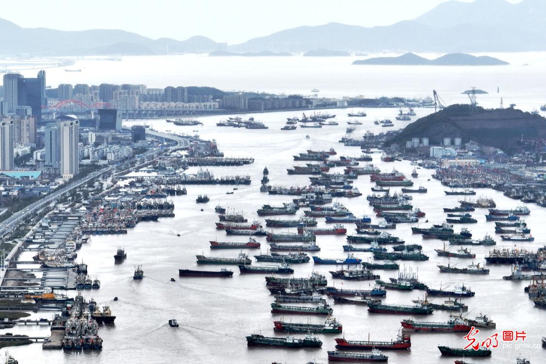 Fishing boats return port before cold wave in E China's Zhejiang