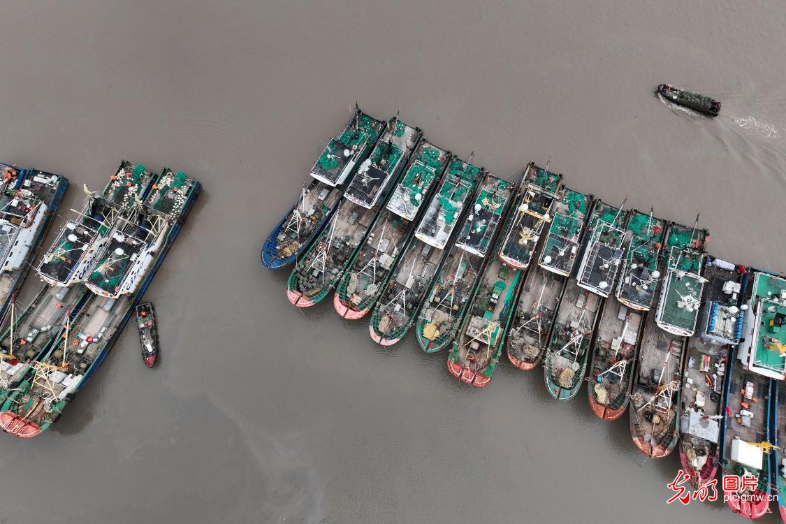 Fishing boats return port before cold wave in E China's Zhejiang