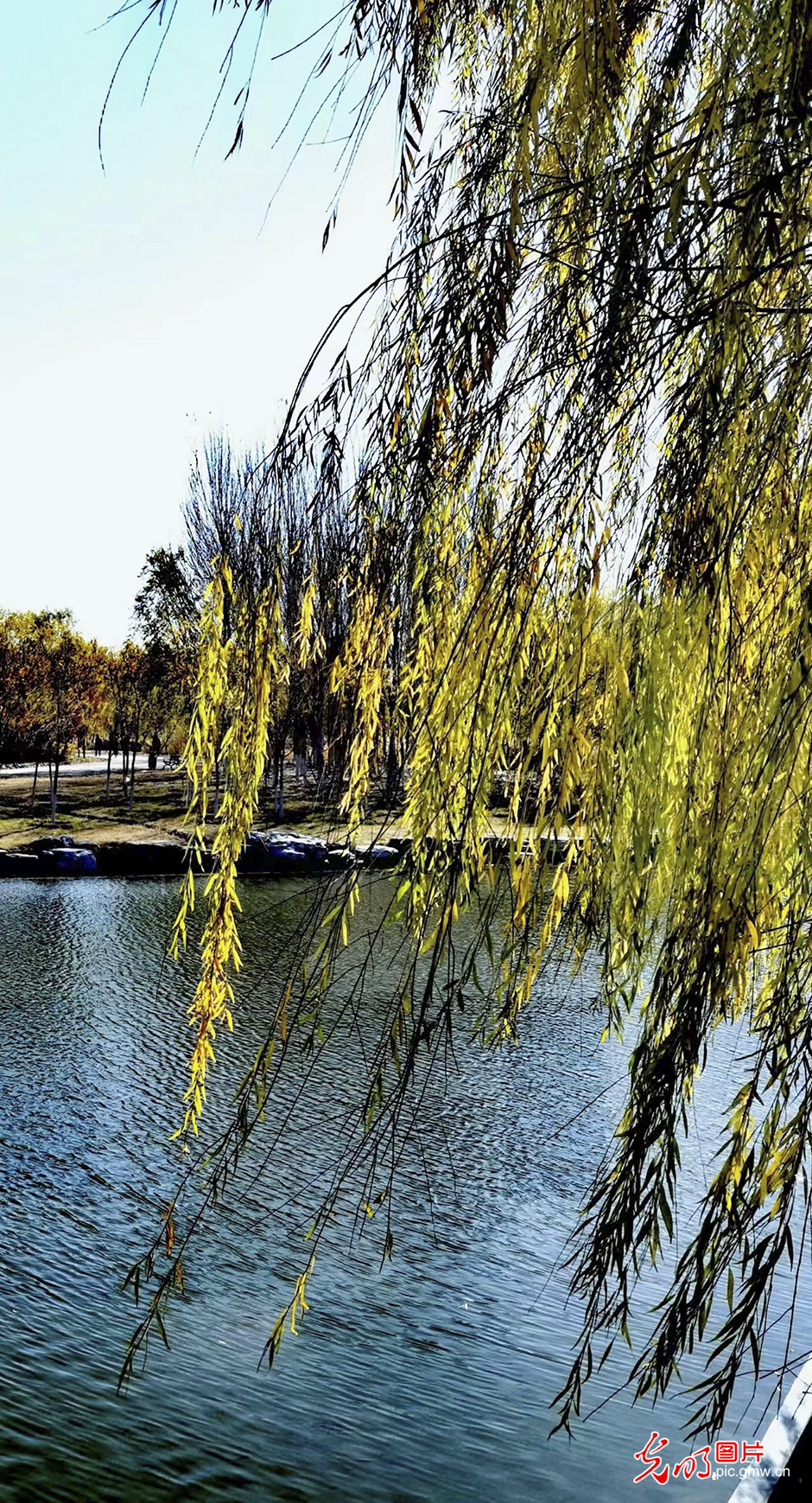 In pics: Nanhaizi Park, largest wetland park in Beijing