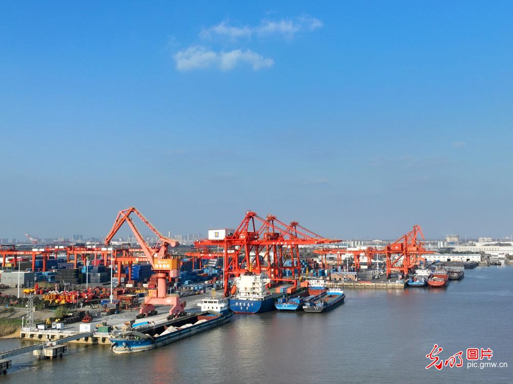 Container throughput of Nantong Port in E China's Jiangsu exceeds 2 million TEUs in first 11 months
