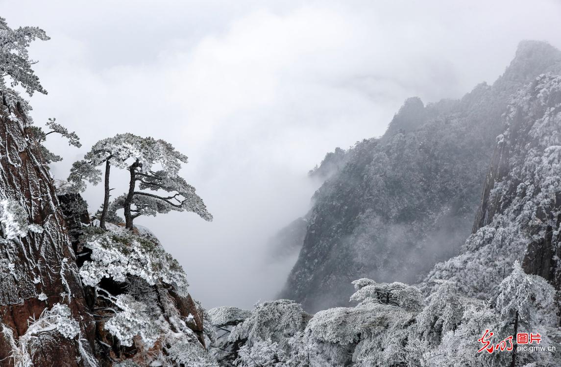First snow decorates Huangshan in silver