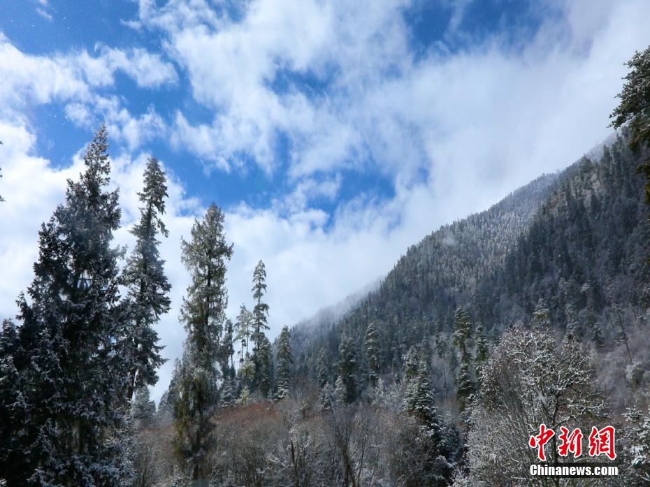 Amazing snow scenery of Nyingchi in SW China’s Tibet