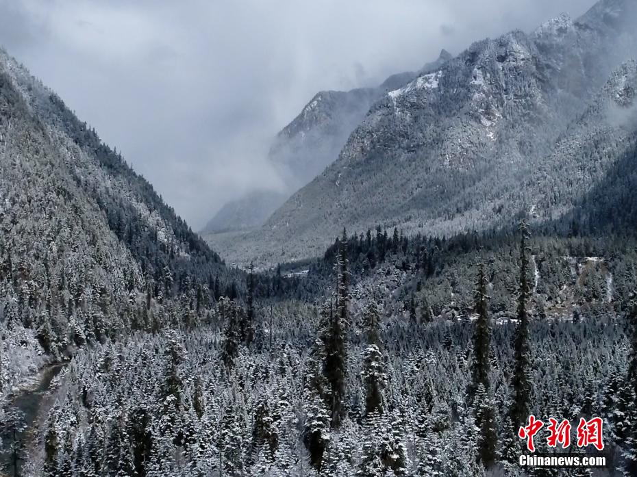 Amazing snow scenery of Nyingchi in SW China’s Tibet