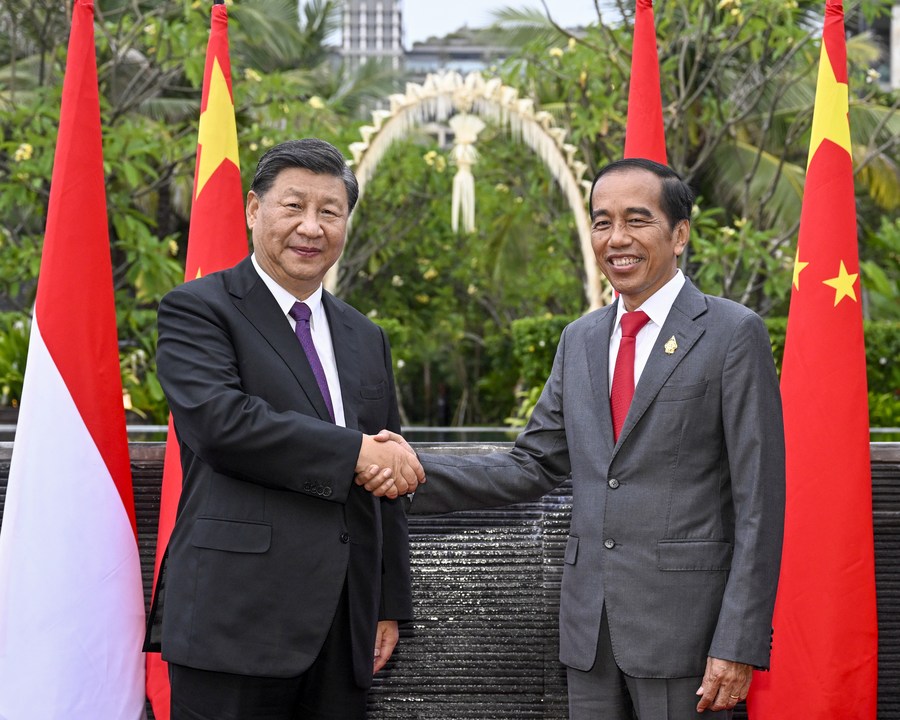 China, Indonesia agree on building China-Indonesia community with a shared future