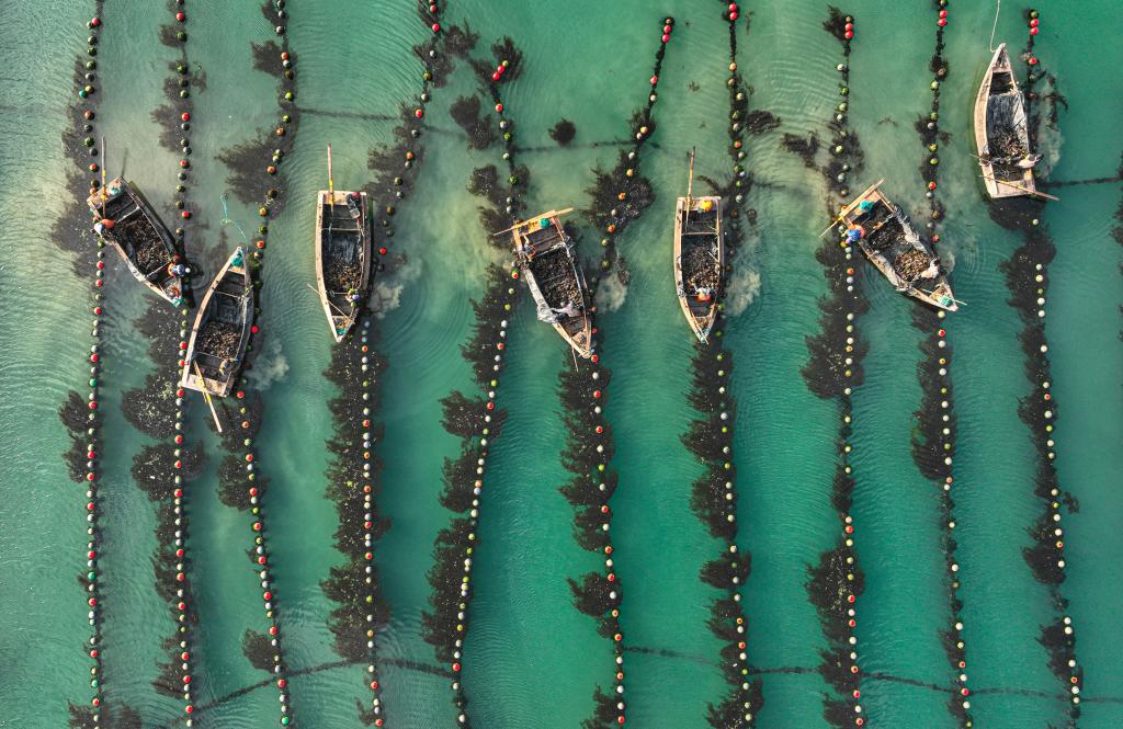 Pictures of the year 2022: Aerial photos