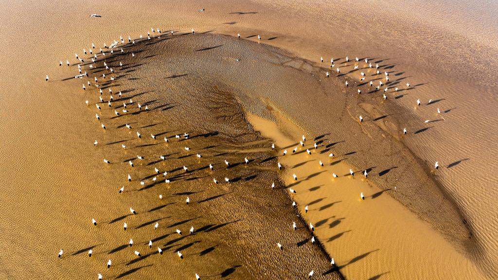 Pictures of the year 2022: Aerial photos