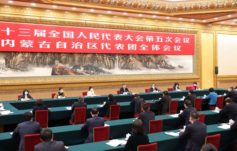 Xi takes part in deliberation of Inner Mongolia delegation at annual legislative session
