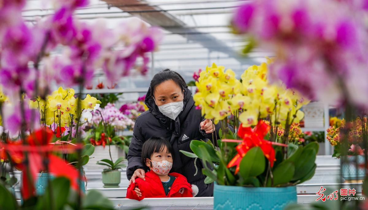 Flower market boons as Spring Festival nears