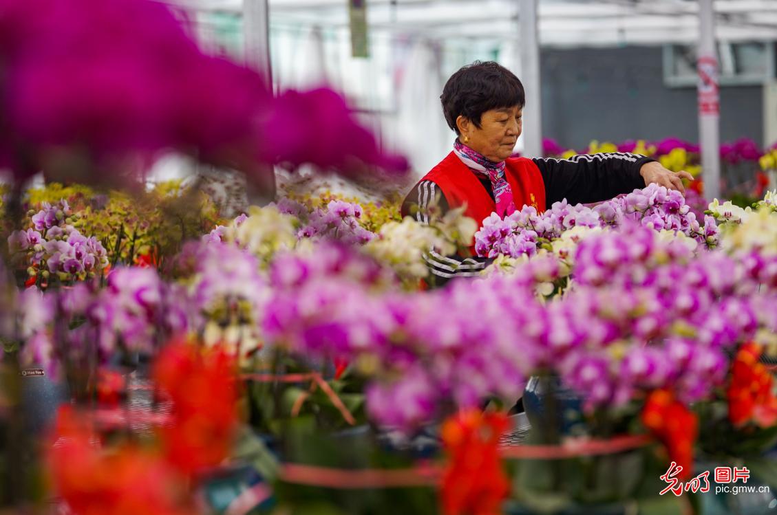Flower market boons as Spring Festival nears