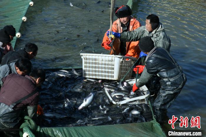 Fishermen start fishing in C China’s Henan Province
